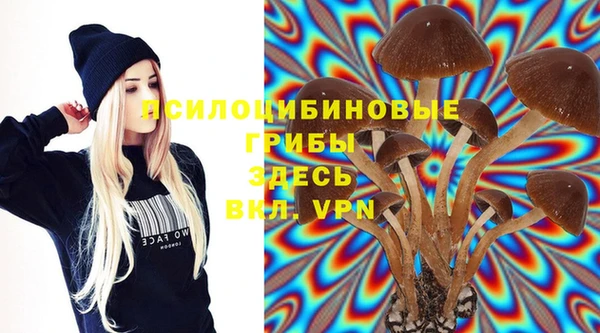 MESCALINE Баксан