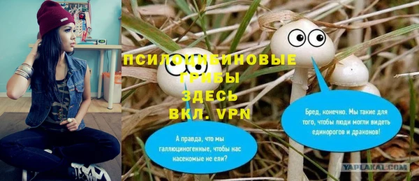 не бодяженный Белокуриха