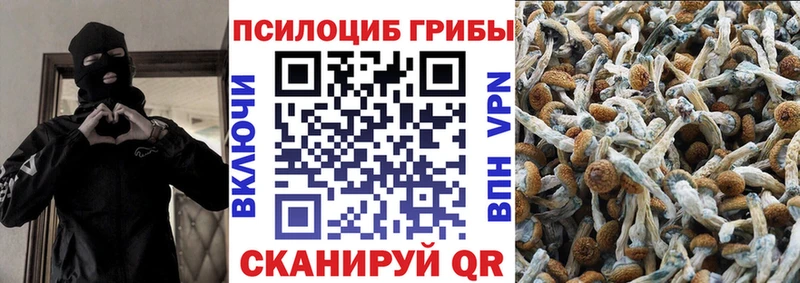 Псилоцибиновые грибы мицелий  Бугульма 